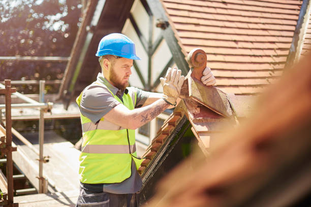 Best Roof Gutter Cleaning  in Grundy Center, IA